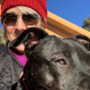 Meet your Posher, Jane